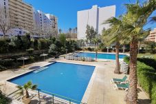 Piscina apartamento Praia da Rocha Portimão Apartamento Jardins Gold Vista Mar Praia da Rocha Portimão