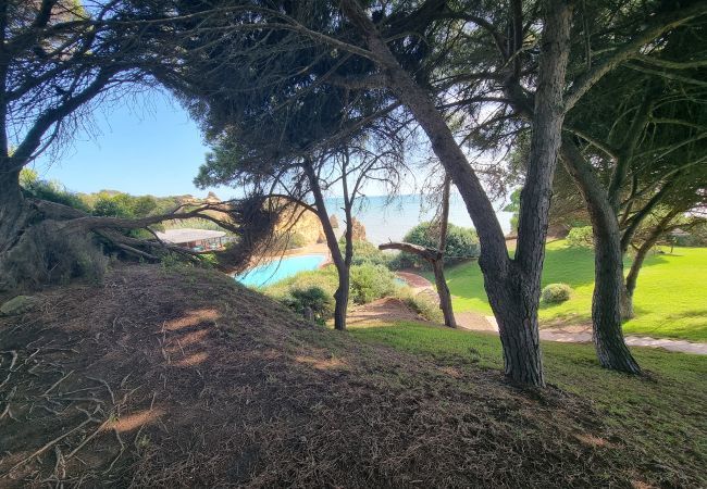 Apartamento em Alvor - Prainha Luxury Apartment Apartamento em Alvor - Prainha Luxury Apartment