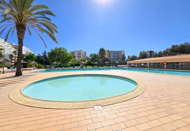 Apartamento em Praia da Rocha - Apartamento Paraíso Sea View Terrace Apartamento em Praia da Rocha - Apartamento Paraíso Sea View Terrace