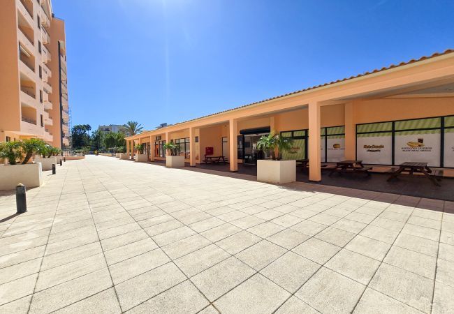 Apartamento em Praia da Rocha - Apartamento Paraíso Sea View Terrace Apartamento em Praia da Rocha - Apartamento Paraíso Sea View Terrace