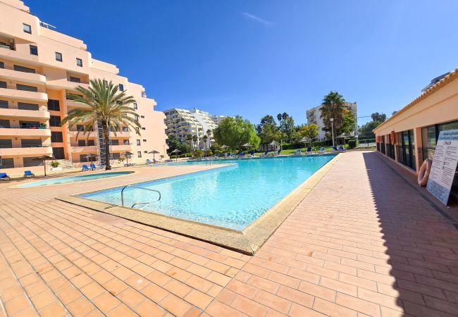 Apartamento em Praia da Rocha - Apartamento Paraíso Sea View Terrace Apartamento em Praia da Rocha - Apartamento Paraíso Sea View Terrace