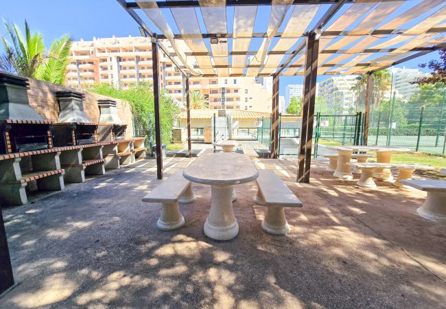 Apartamento em Praia da Rocha - Apartamento Paraíso Sea View Terrace Apartamento em Praia da Rocha - Apartamento Paraíso Sea View Terrace