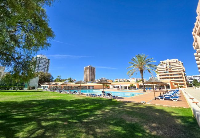 Apartamento em Praia da Rocha - Apartamento Paraíso Sea View Terrace Apartamento em Praia da Rocha - Apartamento Paraíso Sea View Terrace