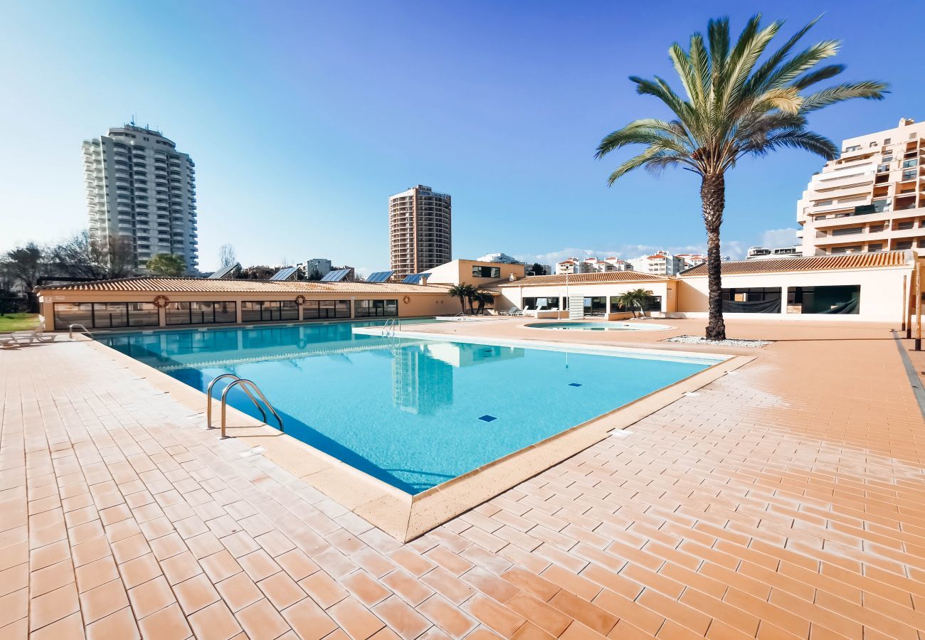 Piscina Apartamento férias Praia da Rocha Portimão Algarve Apartamento férias Praia da Rocha Portimão Algarve