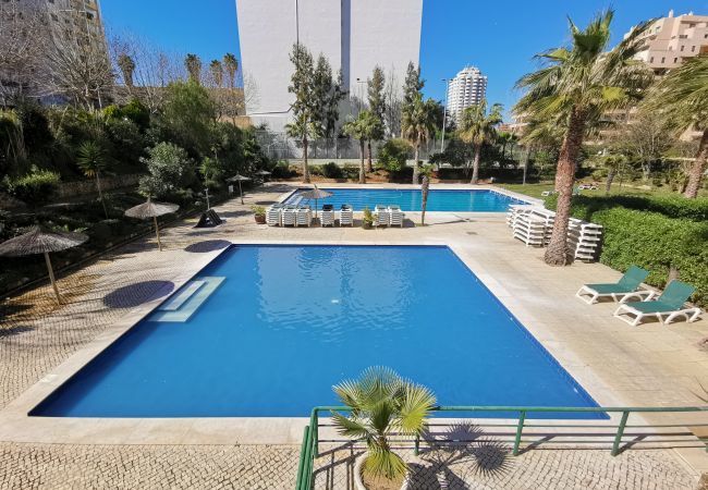 Pool apartment Praia da Rocha Portimão  Apartment Jardins Gold Vista Mar Praia da Rocha Portimão