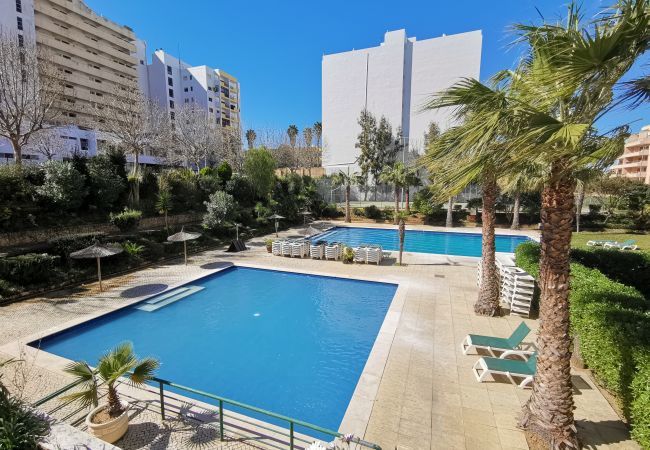 Apartment in Portimão - Flat Rose Garden Sea View