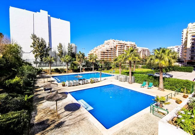 Apartment in Portimão - Sunset Jardins Apartment Sea View Apartment in Portimão - Sunset Jardins Apartment Sea View