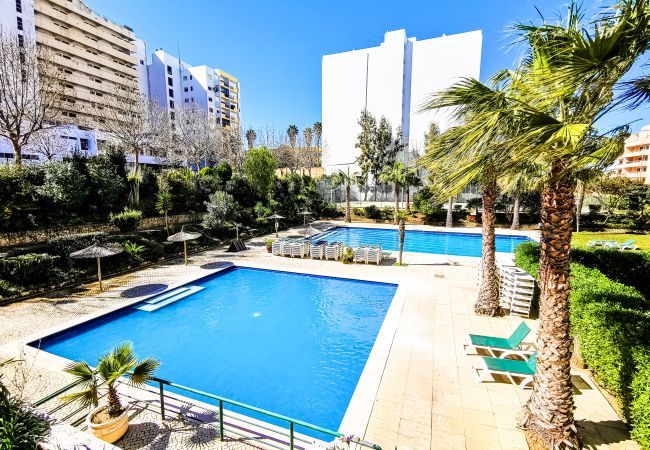 Apartment in Portimão - Sunset Jardins Apartment Sea View Apartment in Portimão - Sunset Jardins Apartment Sea View