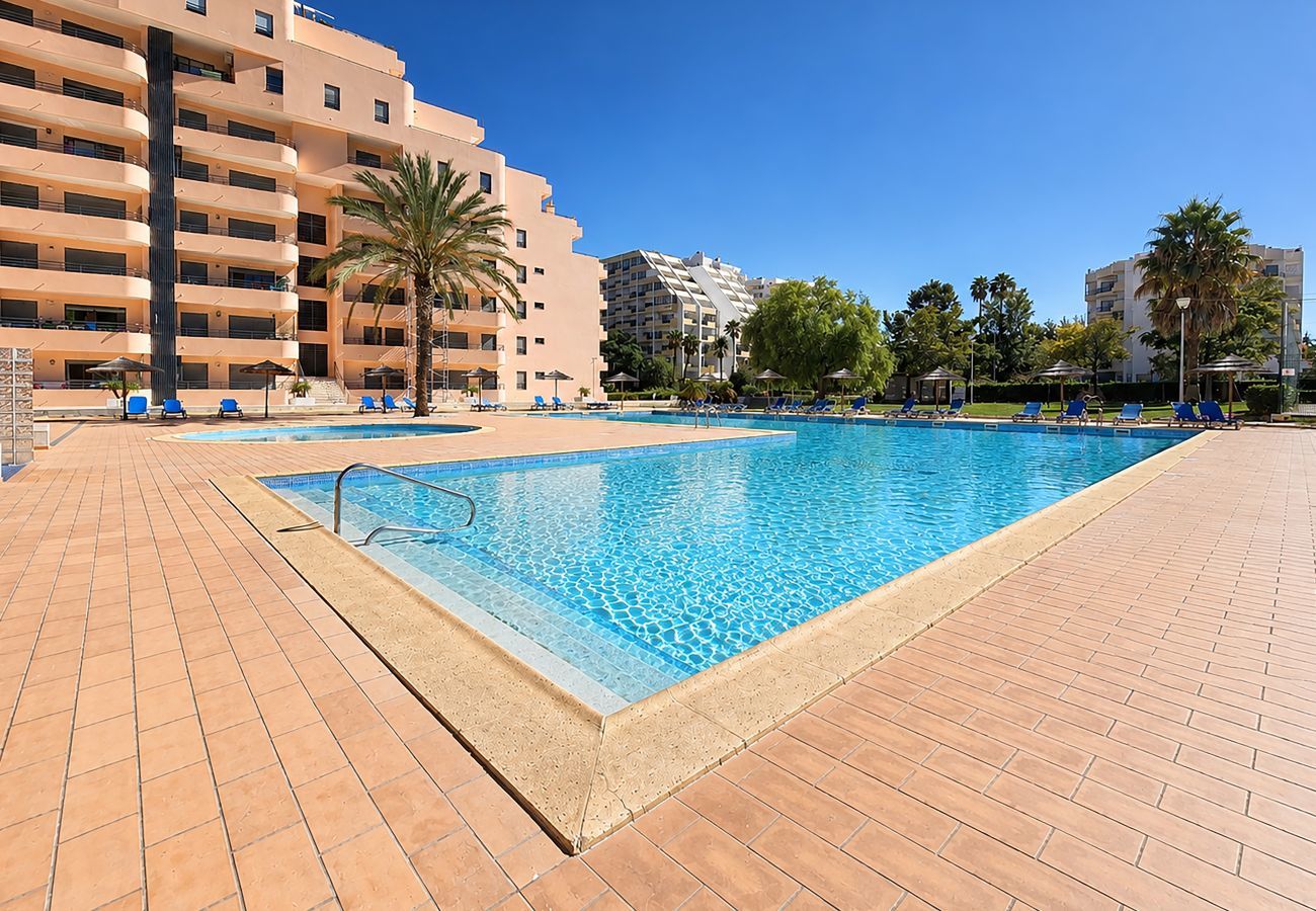Apartamento en Praia da Rocha - Apartment Rocha | Vista Mar y Piscina | Pulse