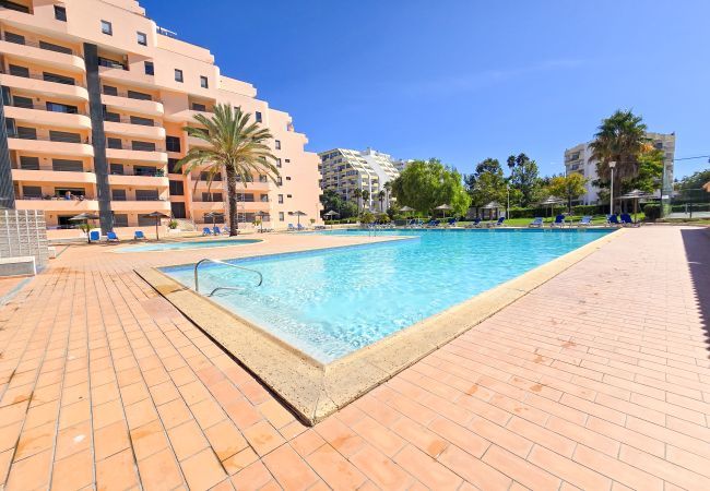 Appartement à Portimão - Appartement Rocha Paradise Pearl